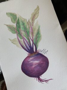watercolors - beets