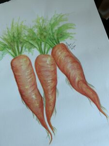 watercolors - carrots