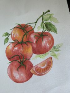 watercolors - tomatoes