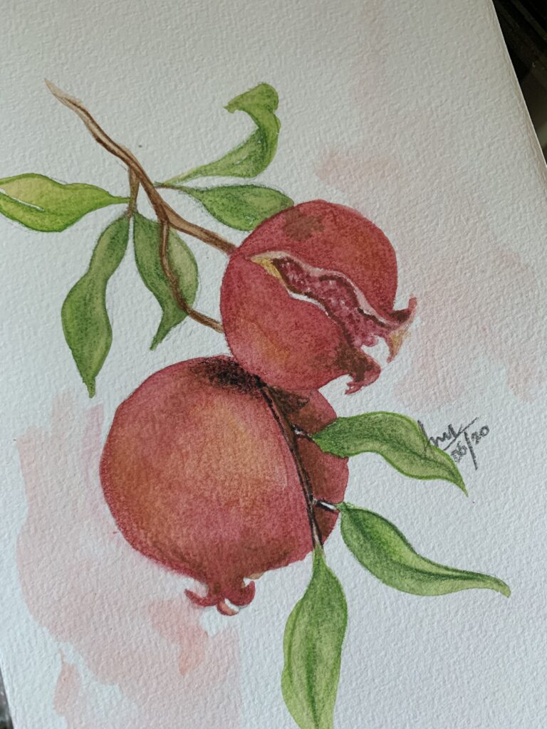 watercolors -pomegranate